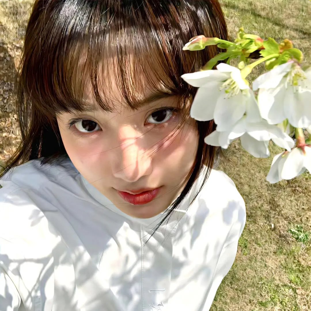 时之歌—花与焰的狂想诗海报