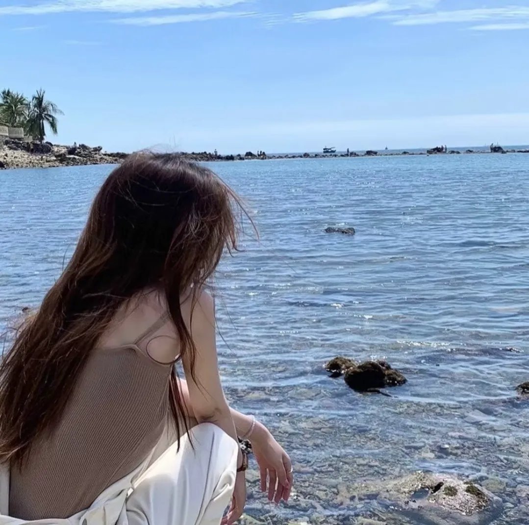 忍者与极道海报